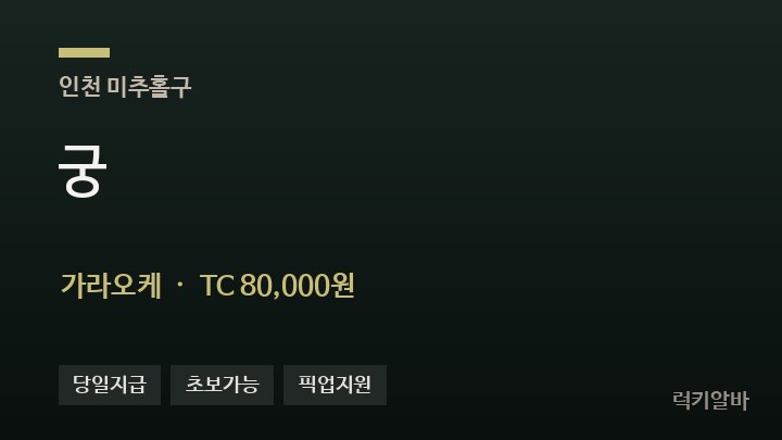 인천 미추홀구 궁 가라오케 채용
